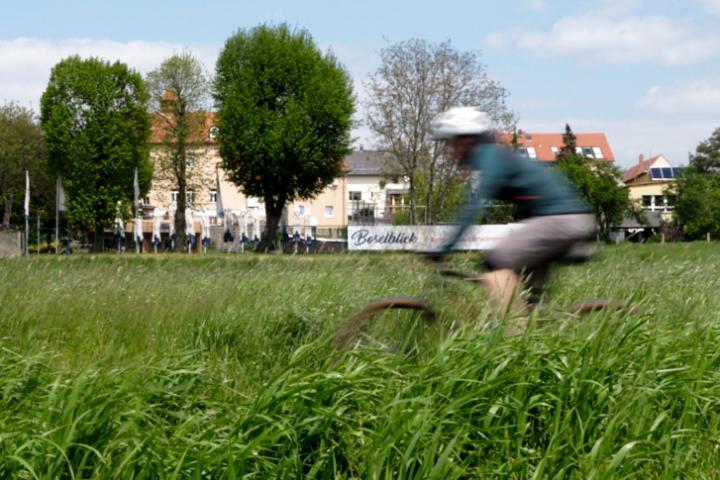 Boselblick Gaestezimmer & Biergarten Sörnewitz Exteriör bild